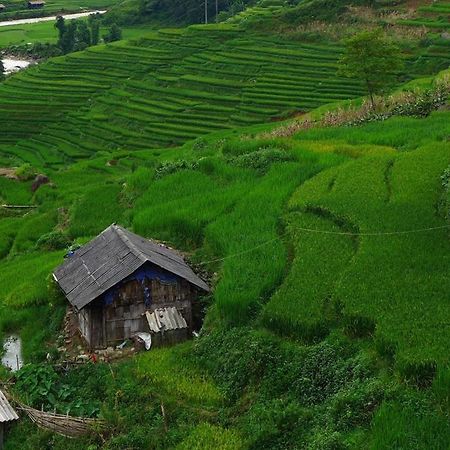 Freedom Homestay & Trekking ซาปา ภายนอก รูปภาพ