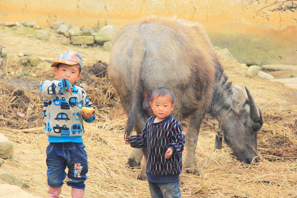 Freedom Homestay & Trekking ซาปา ภายนอก รูปภาพ