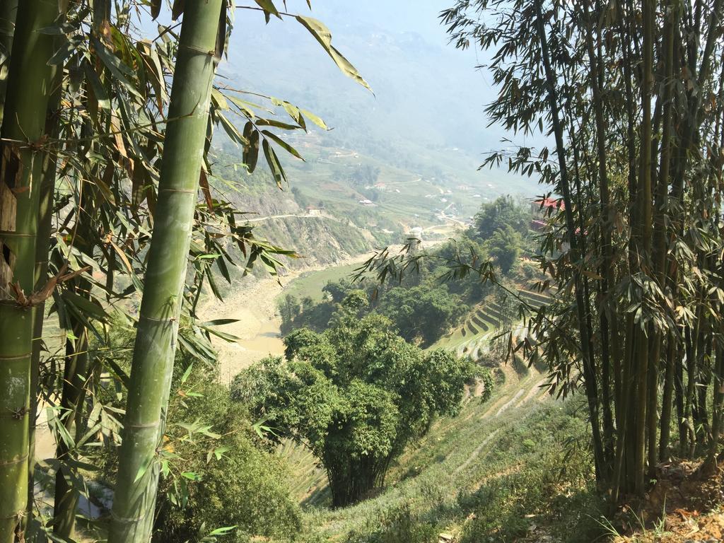 Freedom Homestay & Trekking ซาปา ภายนอก รูปภาพ