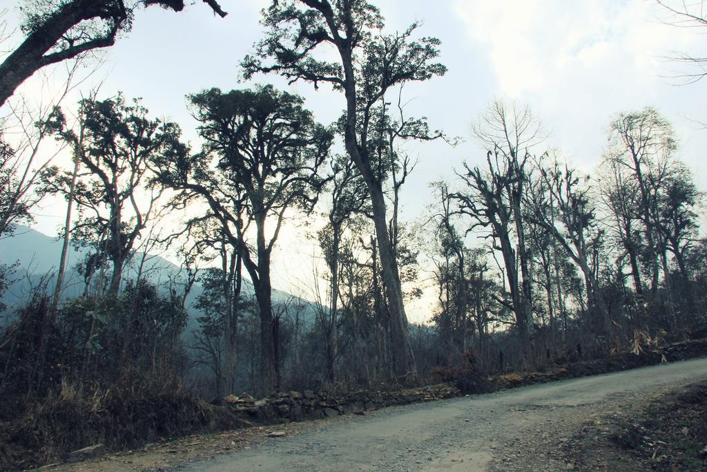 Freedom Homestay & Trekking ซาปา ภายนอก รูปภาพ