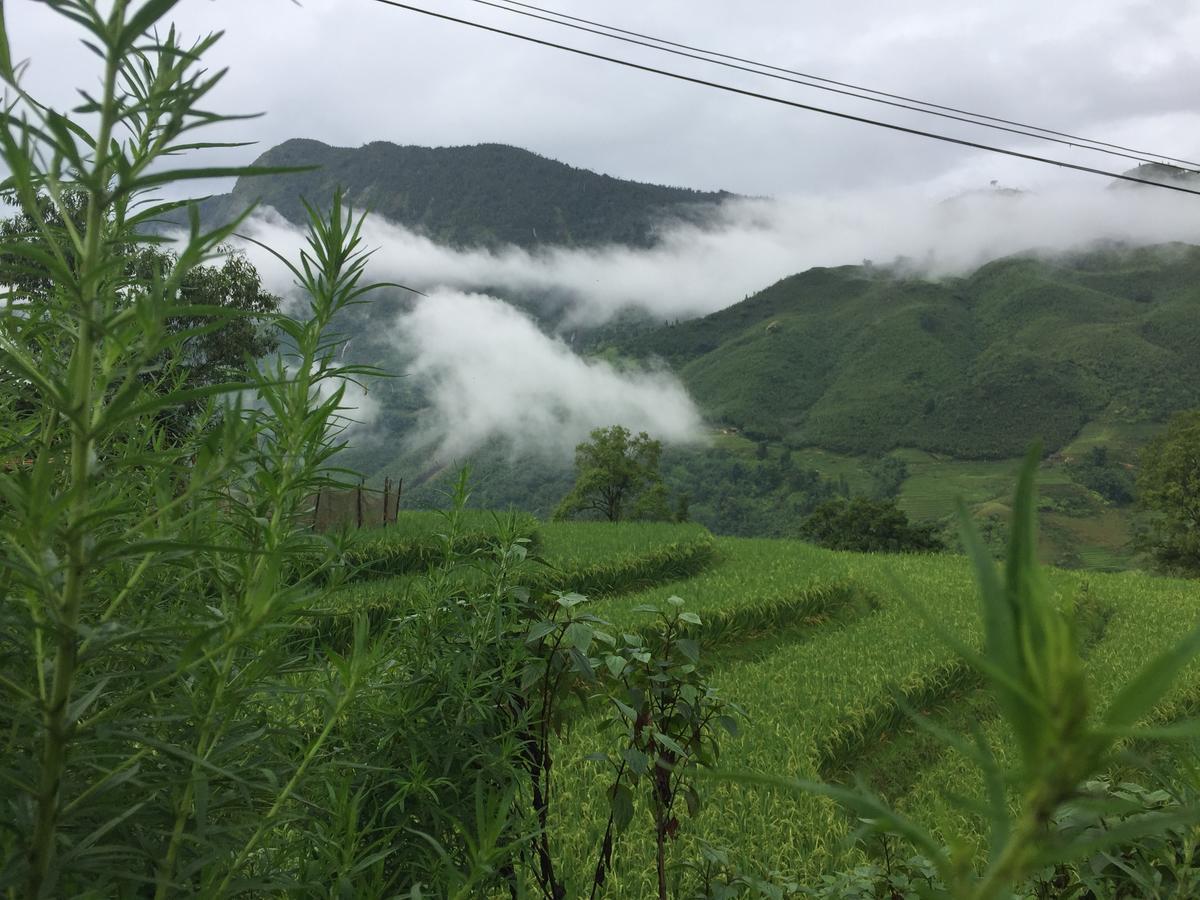 Freedom Homestay & Trekking ซาปา ภายนอก รูปภาพ