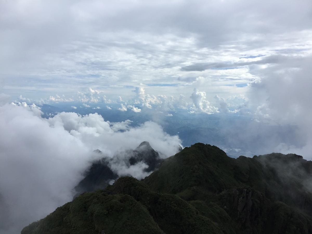 Freedom Homestay & Trekking ซาปา ภายนอก รูปภาพ